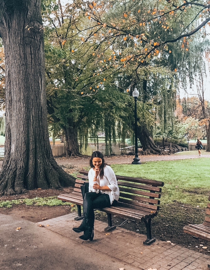 Boston Public Garden Photo Spot