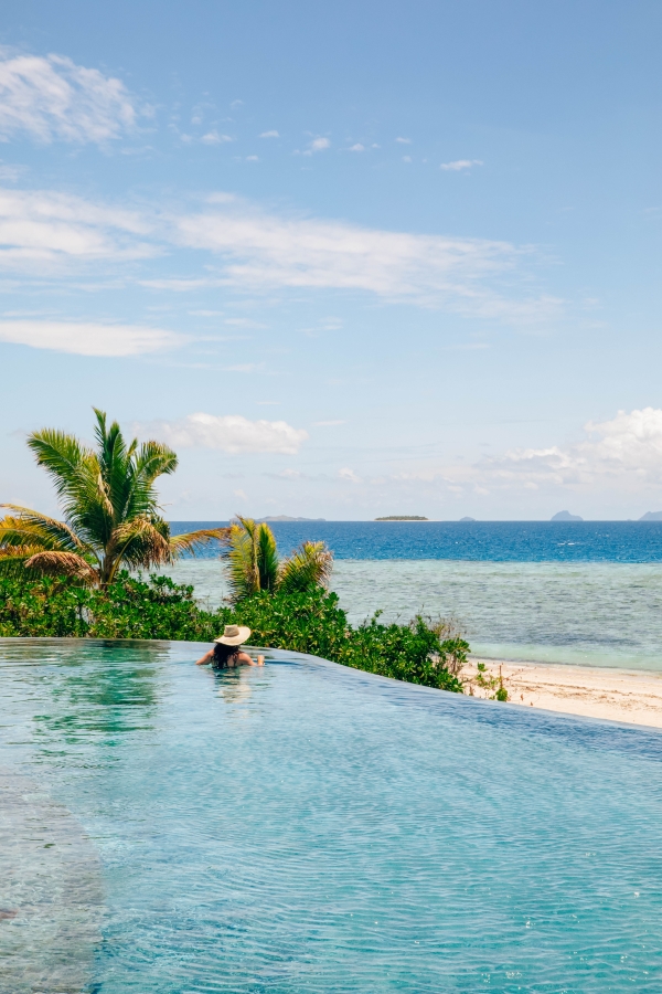 Fiji Malamala Beach Club Palm Tree