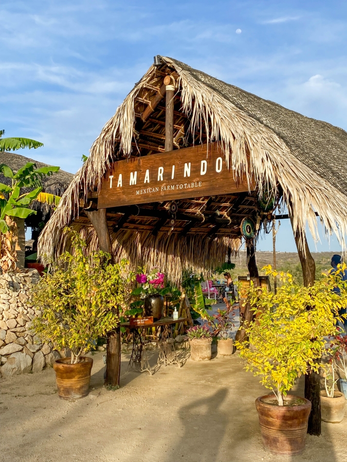 tamarindos cabo restaurant